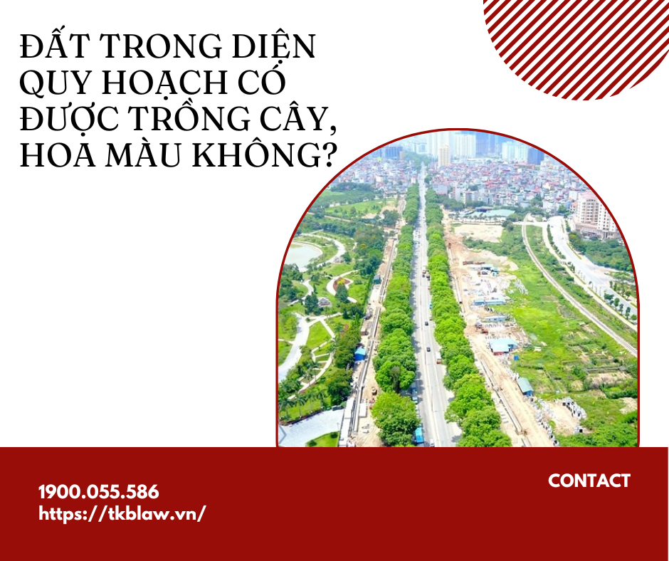 ĐẤT TRONG DIỆN QUY HOẠCH CÓ ĐƯỢC TRỒNG CÂY, HOA MÀU KHÔNG?